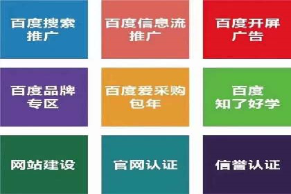 行业领先企业的SEM广告策略与效果分析